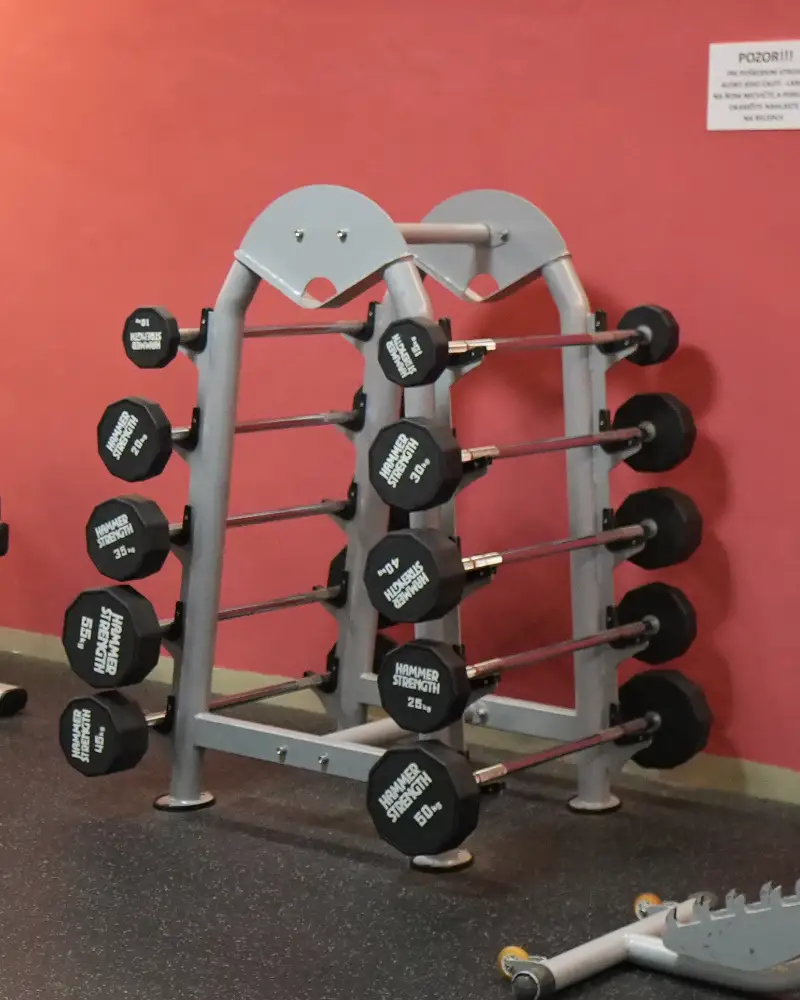 Prehľad tréningových zón